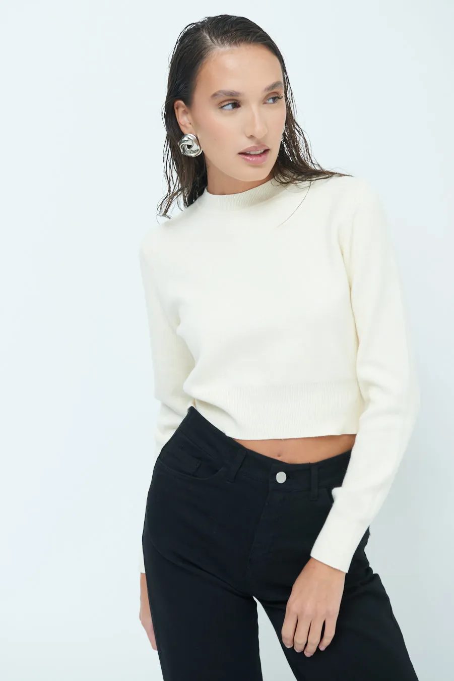 Cozy cropped long-sleeve sweater wholesale